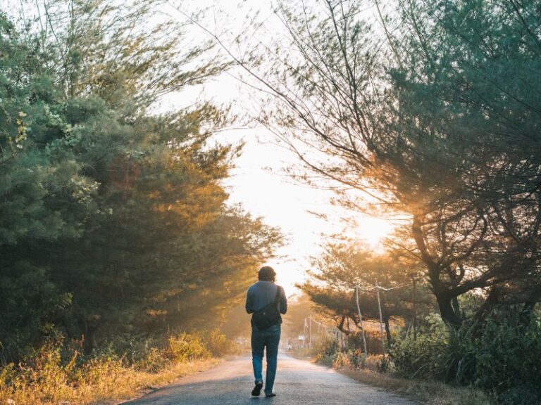 Open path forward